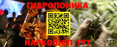 spice Кунгур