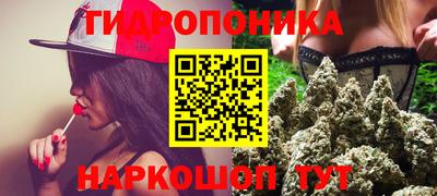 spice Кунгур
